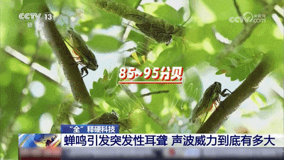 d83b34b113b8260bf50d4c39aa67013f.jpg